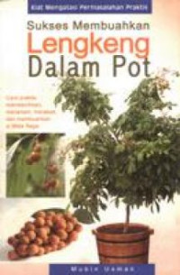 suskses membuahkan lengkeng dalam pot